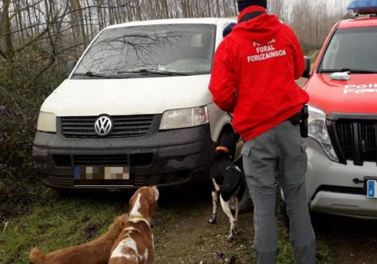 Imputado Por Matar De Dos Patadas A Un Perro En Baztan El Diario Vasco